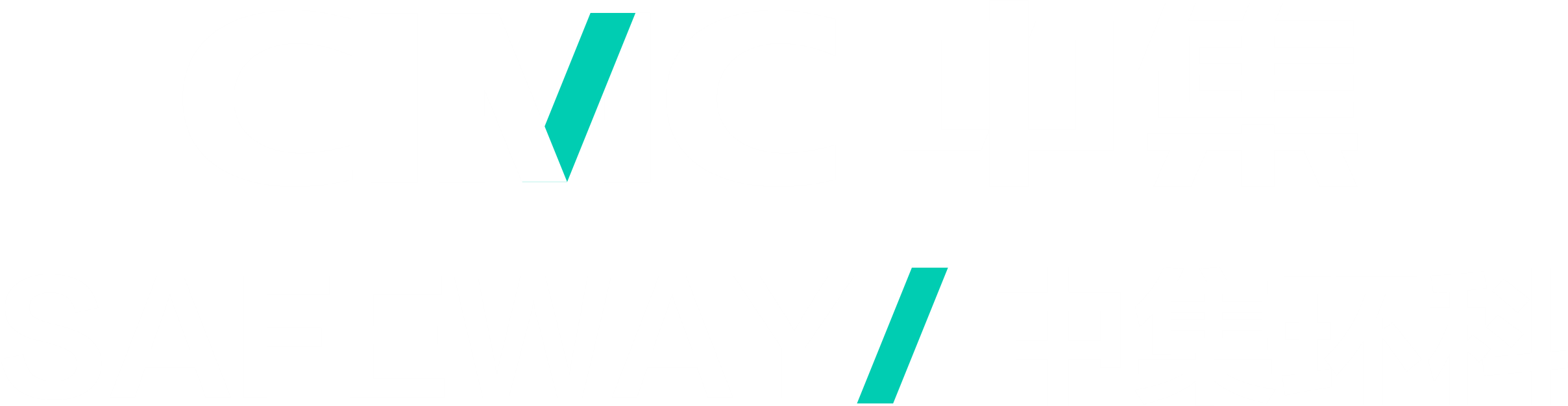 中集安瑞环科技股份有限公司